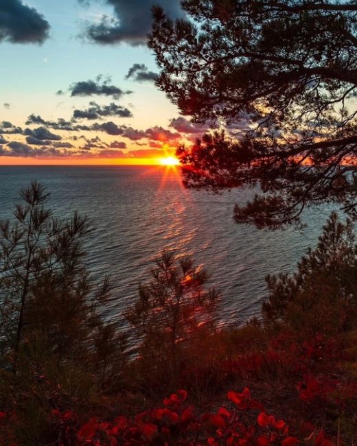 Красочная осень в Голубой бездне🍁  Фото..