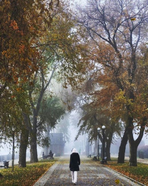 В этом году осень просто великолепна. Согласны? 
Фото: Роман..