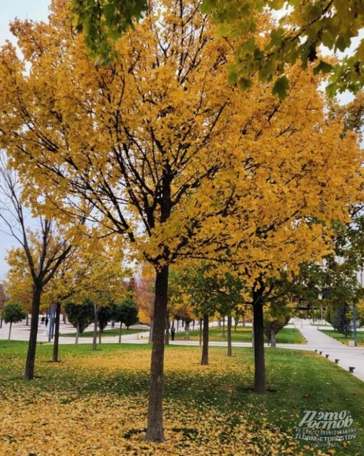 😍🍁Осень в чудесном парке Галицкого в соседнем..