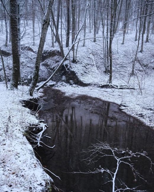 Зима подкралась к Новороссийску ❄  Фото..