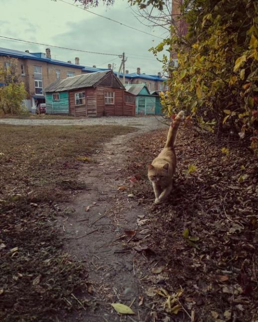 Если вы подписаны на нас, чтобы переехать в Краснодар, то можем сказать, что на Кубани есть ещё много уютных..