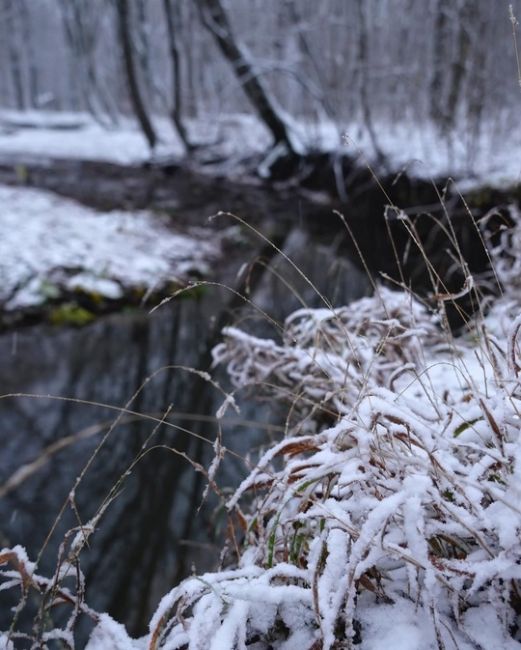 Зима подкралась к Новороссийску ❄  Фото..