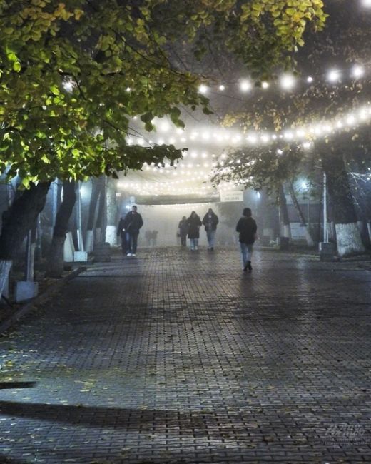 🌫 Во время тумана Ростов становится чуточку мистичнее 😍  Фото: Роман..