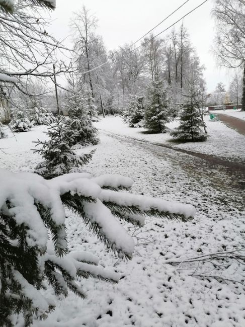 💙Снежное утро в Гагинском районе. Ждем у..