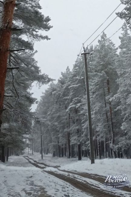 ❄️ Привет из станицы Вёшенской от наших подписчиков..