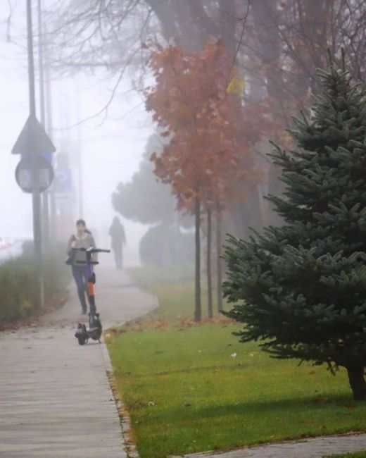 🌫️ Кто рано встает, тот… увидит туман. Вот такое воскресное утро в Краснодаре 
📸..