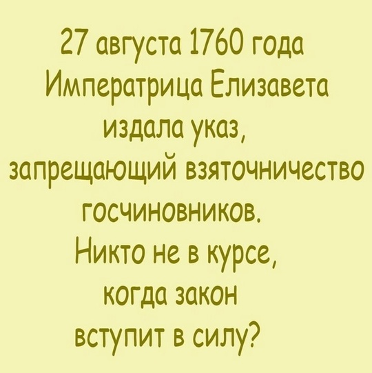 ⚡🚨 Силовики пришли с обысками к жене задержанного Виталия Кушнарёва. Замгубернатора обвиняют не только в..