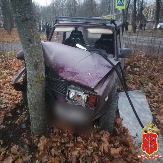 В поселке имени Морозова Всеволожского района Ленобласти водитель, сбил 10-летнего мальчика, после чего..