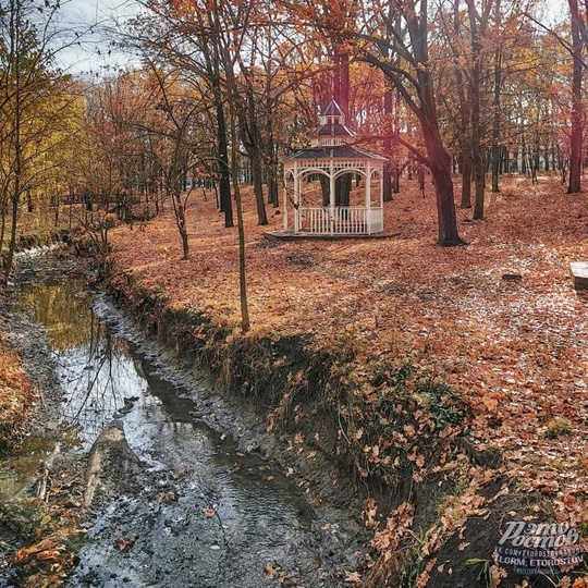 🍂🍁Красивый парк Дубки в Таганроге  Фото: Вадим..