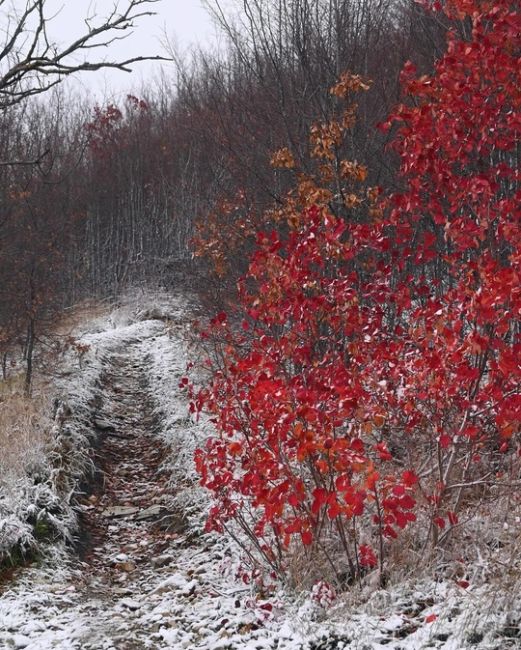 Осенне-зимние склоны Маркотха, когда зима пришла чуть раньше ❄🍁  Фото:..