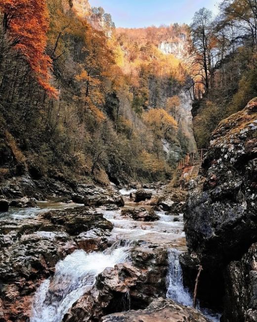 Путь от Гуамки до Мезмая по узкоколейной железной дороге ❤️  Фото:..