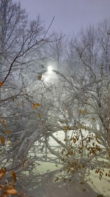 Приозерск занесло..