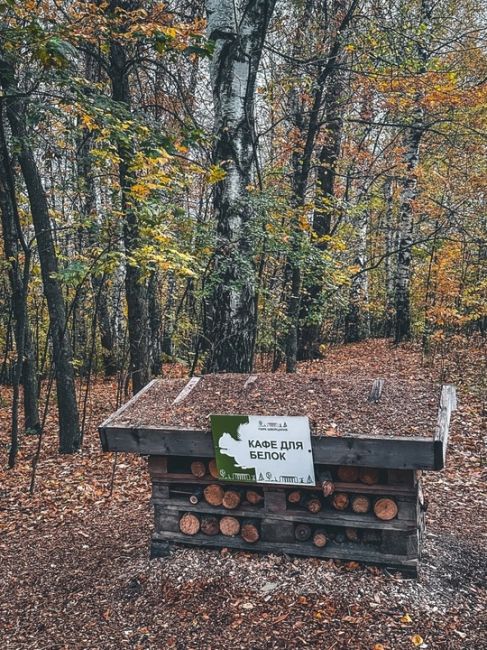 Кто ещё ни разу не забегал в Парк..