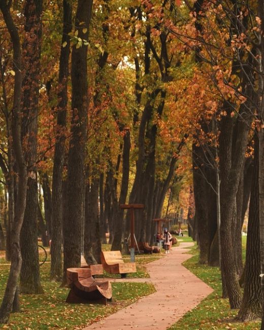 Красивая осень в парке Галицкого 🍁♥  Фото:..