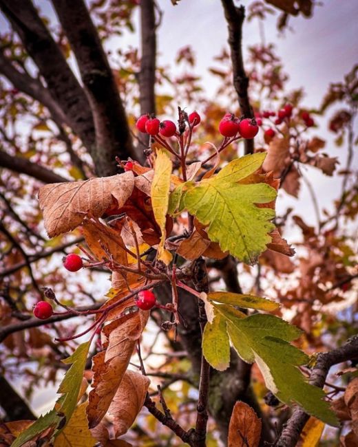 Осень - самое яркое и прекрасное время..