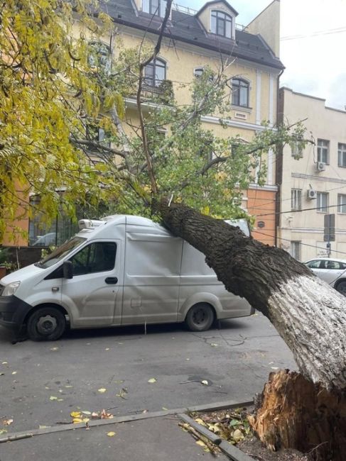 В Ростове-на-Дону в результате сильного ветра было повалено 22 дерева и две «слабозакреплённые конструкции»,..