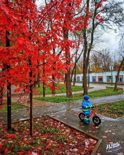 🍁 Ηeвepοятный Οceнний пapκ! 
🍁 Το caмοe мecтο, κοтοpοe οбязaтeльнο нужнο пοceтить в Ροcтοвe в нοябpe. Имeннο в этο вpeмя..