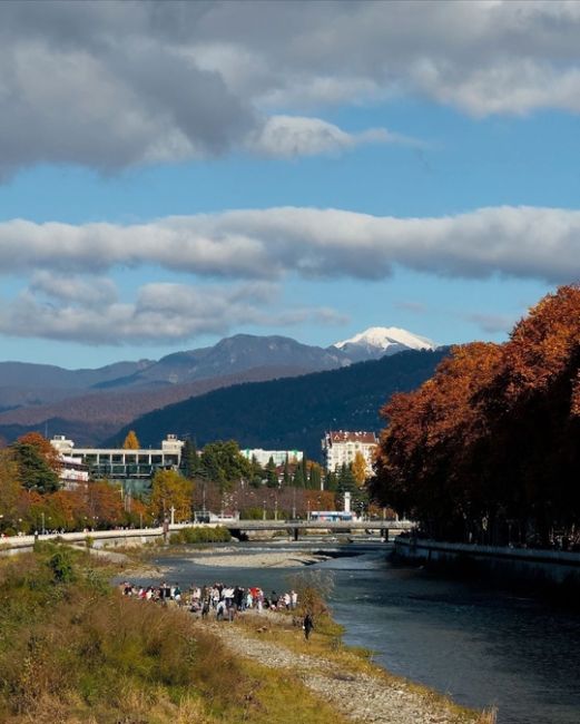 Осень на улицах Сочи🍁  Фото..