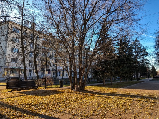 Солнечное ноябрьское Сормово 🍃🍂🍁☀️  #зарисовкинеоченьюногонатуралиста 
#нижегородскиезарисовки..