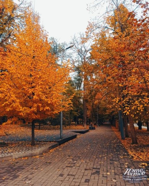 Разве есть такие люди, которые не любят осень?..