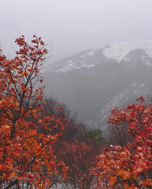 Осенне-зимние склоны Маркотха, когда зима пришла чуть раньше ❄🍁  Фото:..