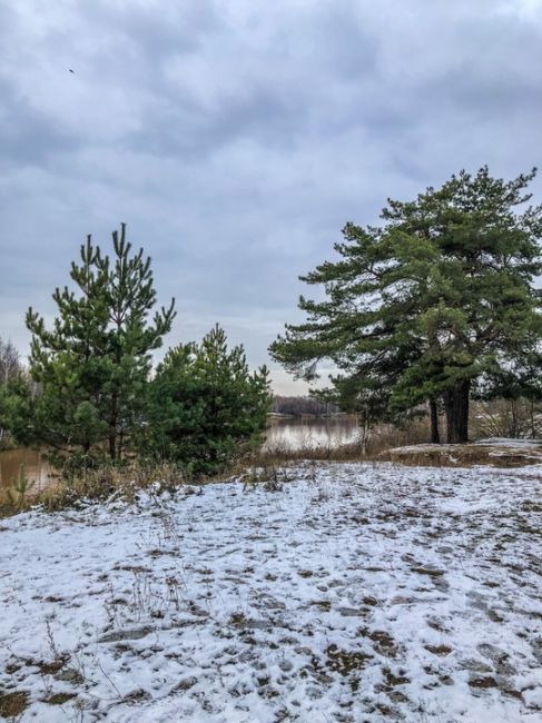 Ноябрьские открытки из Сормовского парка 🤍  #зарисовкинеоченьюногонатуралиста 
#нижегородскиезарисовки..