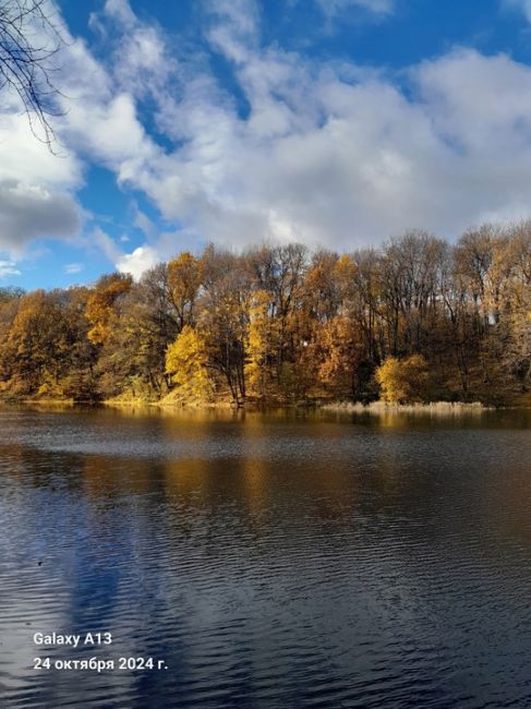 Осень 2024 года в Нижнем Новгороде. Щелоковский хутор.💙
Автор фото: Алексей..