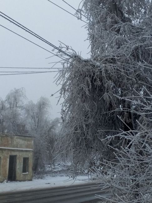 В Гуково морозно ❄️ из-за ледяного дождя оборвались линии..