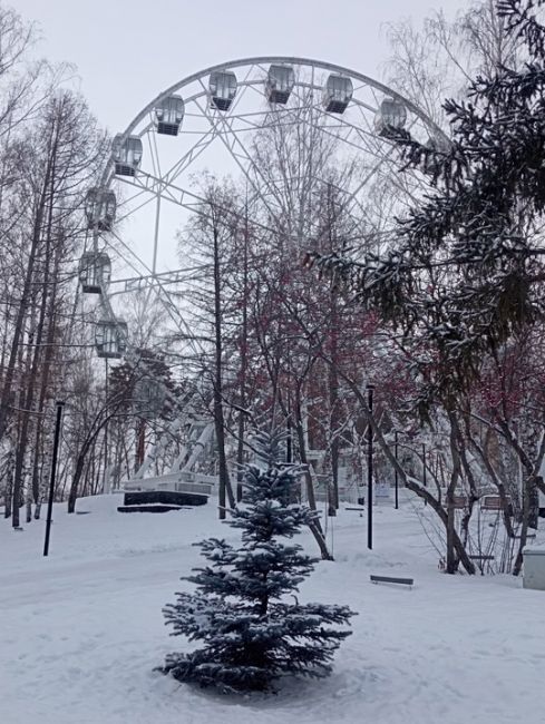 Доброе утро, Друзья ☺️
За фото спасибо нашей..