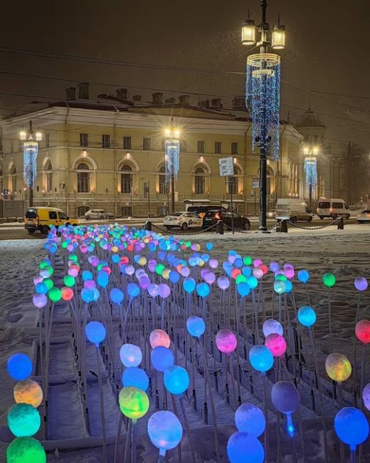 ✨На стрелке Васильевского острова включили праздничную яркую..