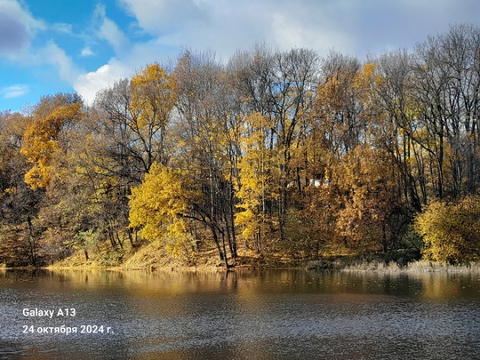 Осень 2024 года в Нижнем Новгороде. Щелоковский хутор.💙
Автор фото: Алексей..