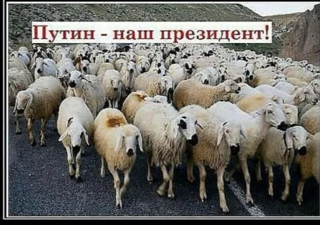 «Что общего между «Чернышевской», «Сенной» и «Площадью Восстания» — петербуржец напомнил, что когда-то было..