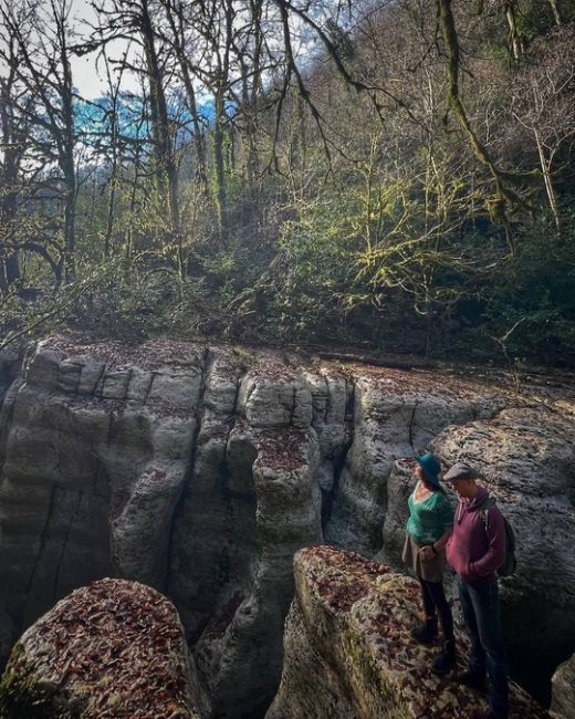 Декабрь в горах Сочи ⛰️🌳  фото..