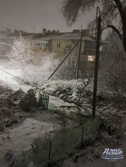 ❄️🧊  Ледяной шторм в Гуково. Из-за наледи деревья начали падать и обрывать провода. Часть города сидит без..