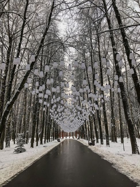 Зарисовки из парка "Швейцария"..