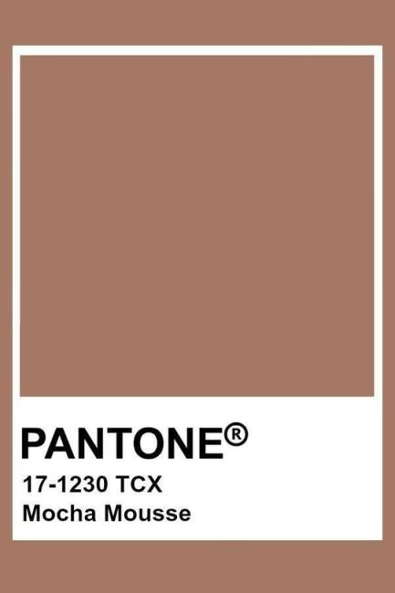 Определен главный цвет 2025 года.  По версии Pantone, им стал цвет «Шоколадный мусс».  Он отражает важность..