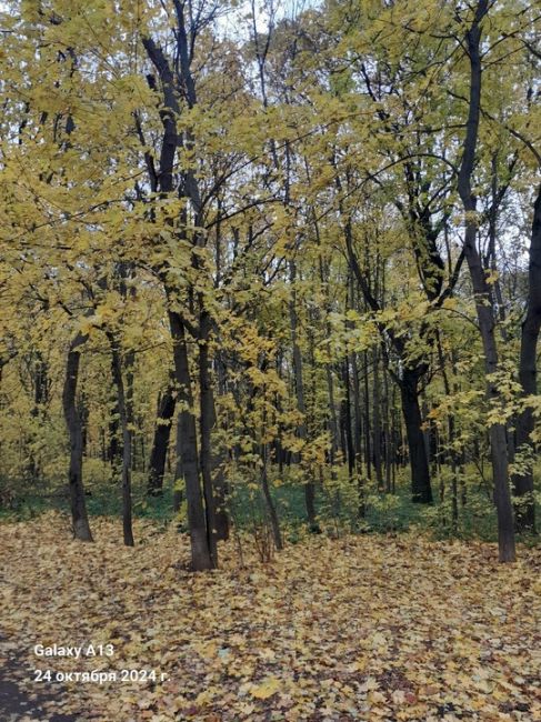 Осень 2024 года в Нижнем Новгороде. Щелоковский хутор.💙
Автор фото: Алексей..