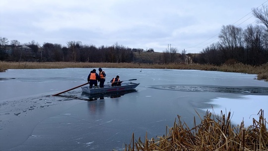 🦢 В Ростовской области спасатели помогли лебедю. Птица примерзла к воде в одном из прудов Азовского района...