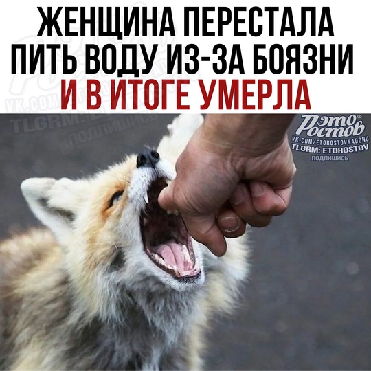 🦊 Плюс фобия: Женщина внезапно стала бояться воды, а при попытке попить начинались судороги — через..