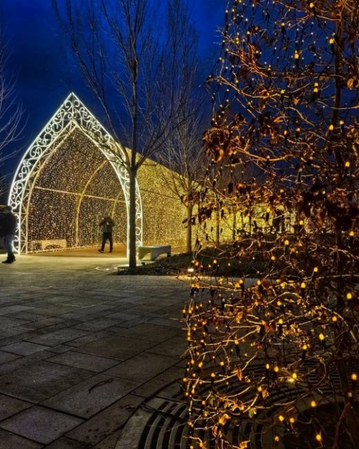 По-новогоднему празднично и ярко в Парке Облаков 🎄✨  спасибо..