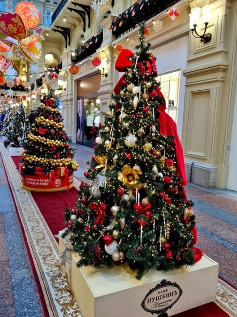 Парад ёлочек в ГУМе 🎄 
Фото: Ишевских..