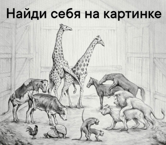 😡 «Этот тип на Хонде потряс своим червячком перед водителем, который его разозлил в пробке на Соколова...