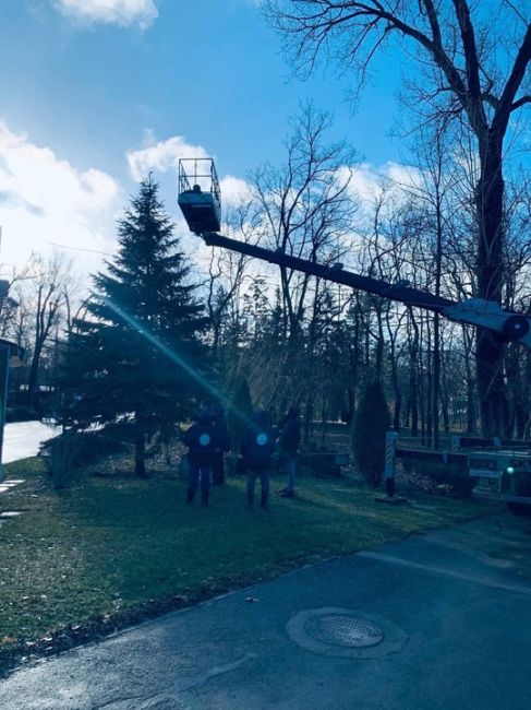 В парке Островского создают новогоднюю..