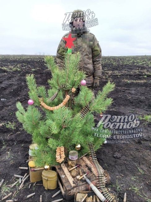 🎄Новогодний привет от подписчика из зоны..