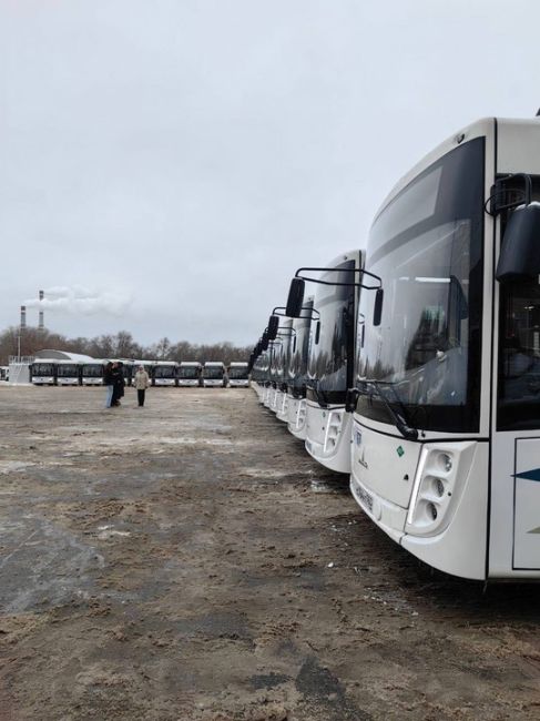 🚌 Более 300 новых низкопольных автобусов привезли в Самару  Новые автобусы начнут работу на маршрутах уже с 1..