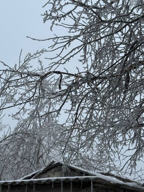 🥶 Пока в Ростове мерзко от слякоти, в Гуково настоящий ледяной ад. Из-за замерзших деревьев линии..