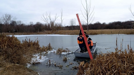 🦢 В Ростовской области спасатели помогли лебедю. Птица примерзла к воде в одном из прудов Азовского района...