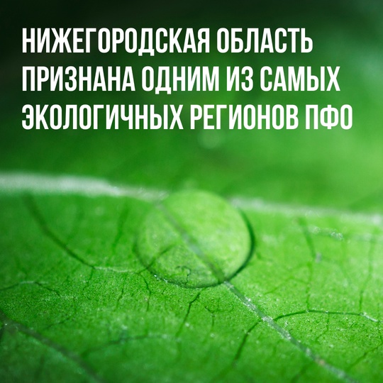 Нижегородская область вошла в число «хорошистов» экологического рейтинга регионов  Она набрала 13-15 баллов..