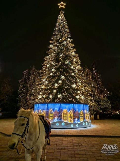 🎄 Ростов украсили к Новому Году..