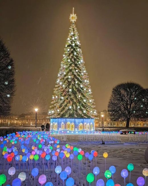 ✨На стрелке Васильевского острова включили праздничную яркую..